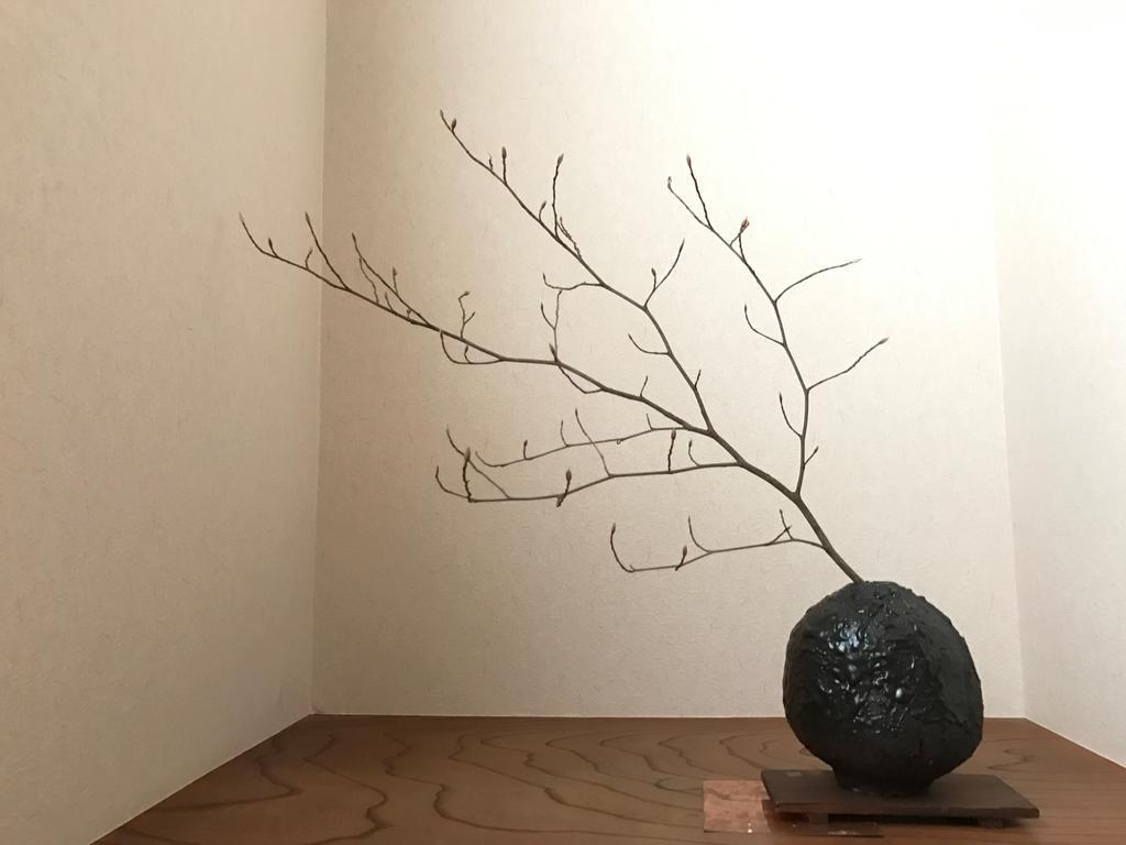 Hotel Sayama Aesthetics School Osakasayama Exteriér fotografie